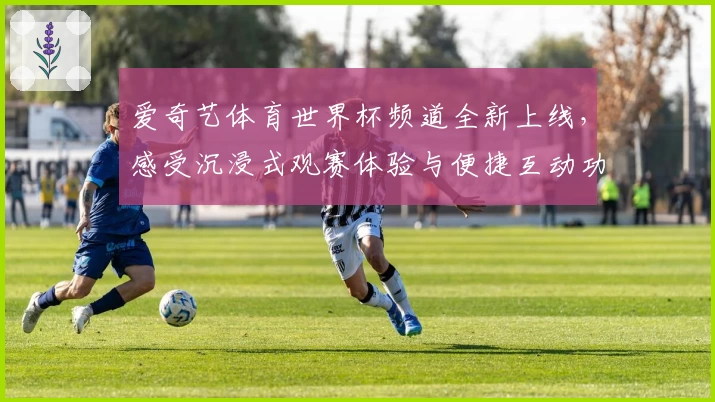 爱奇艺体育世界杯频道全新上线,感受沉浸式观赛体验与便捷互动功能